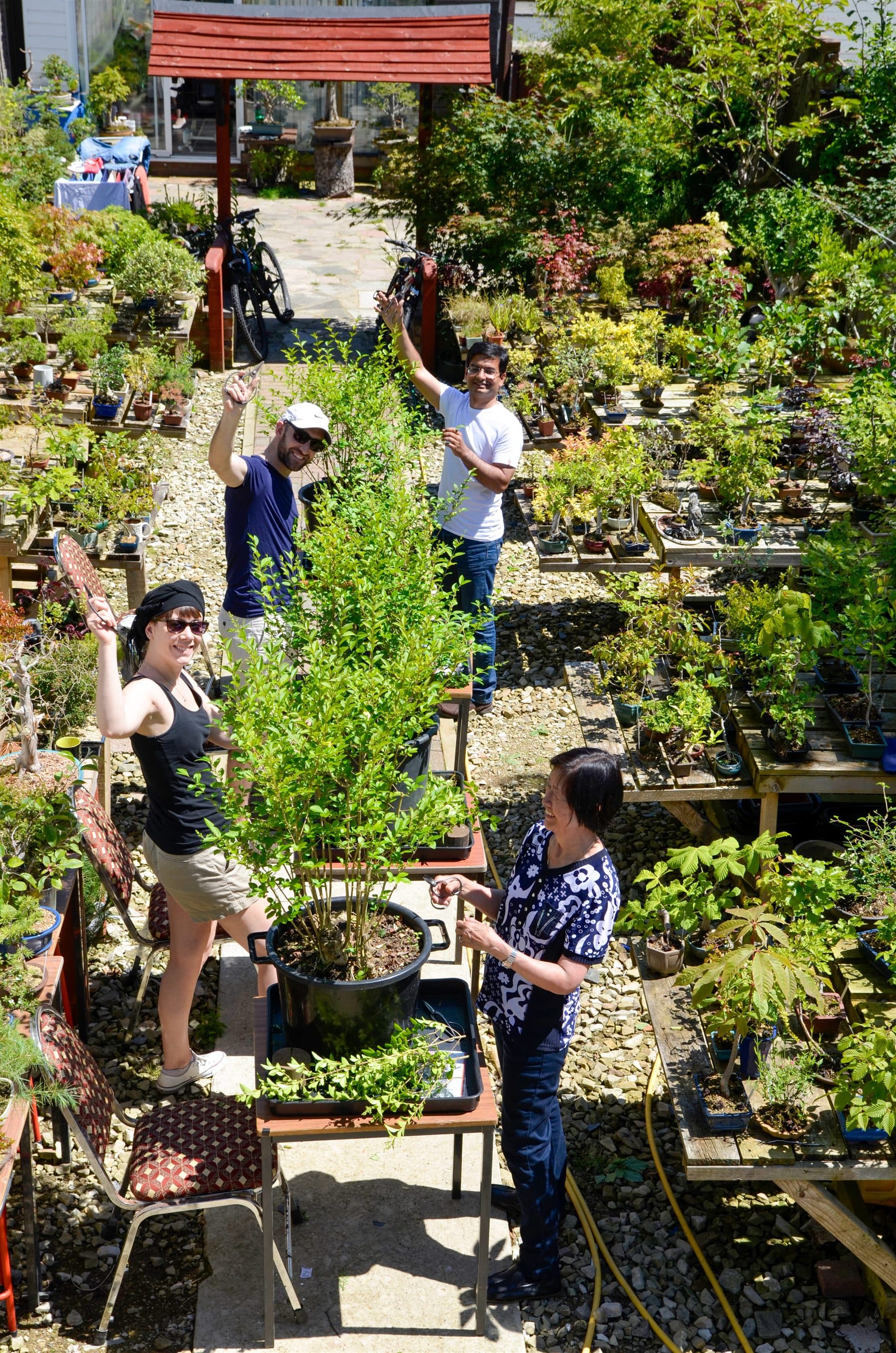 Students engaged in hands-on bonsai practice outdoors