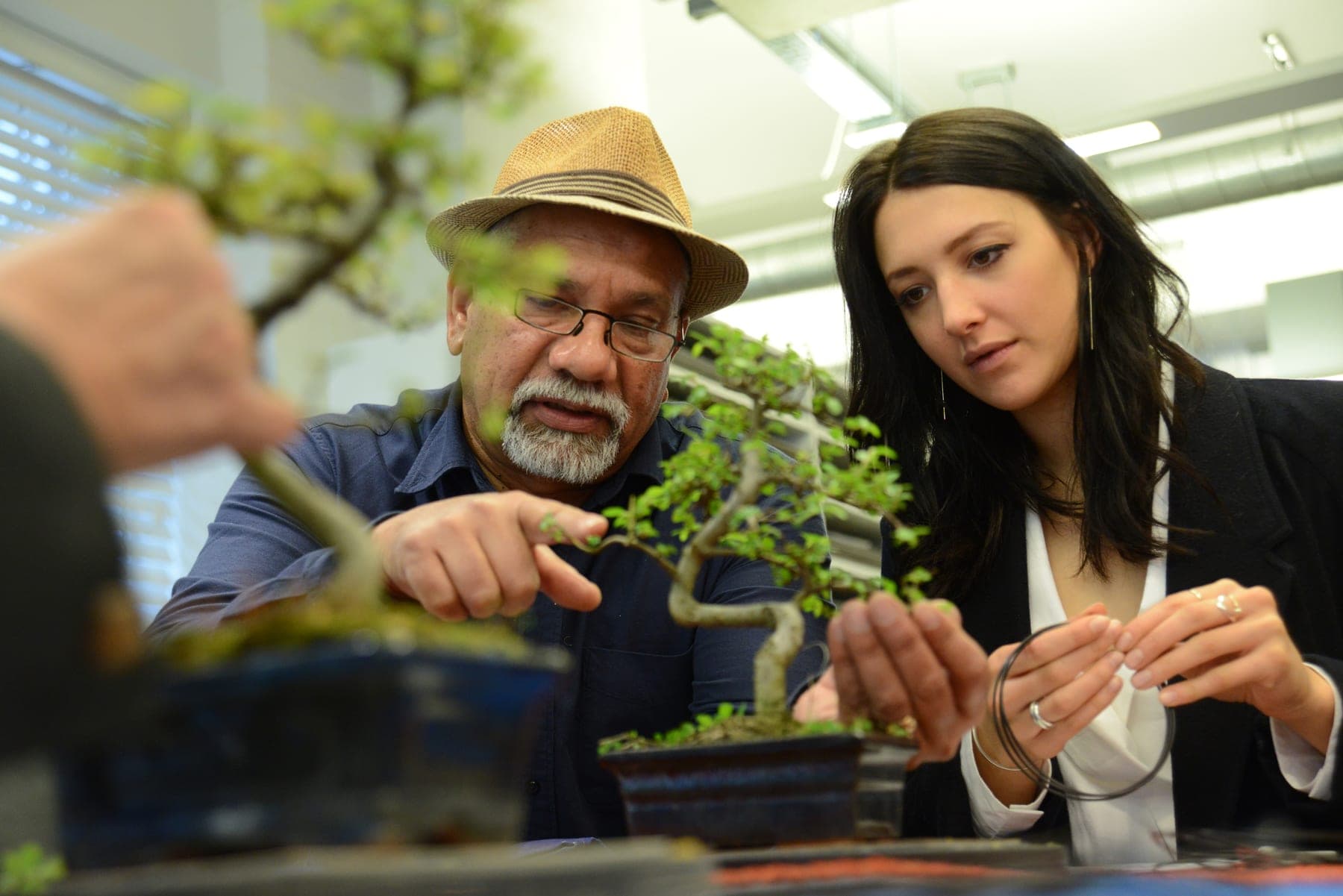 Students studying and working on bonsai during a Ma-Ke Bonsai Academy corporate session