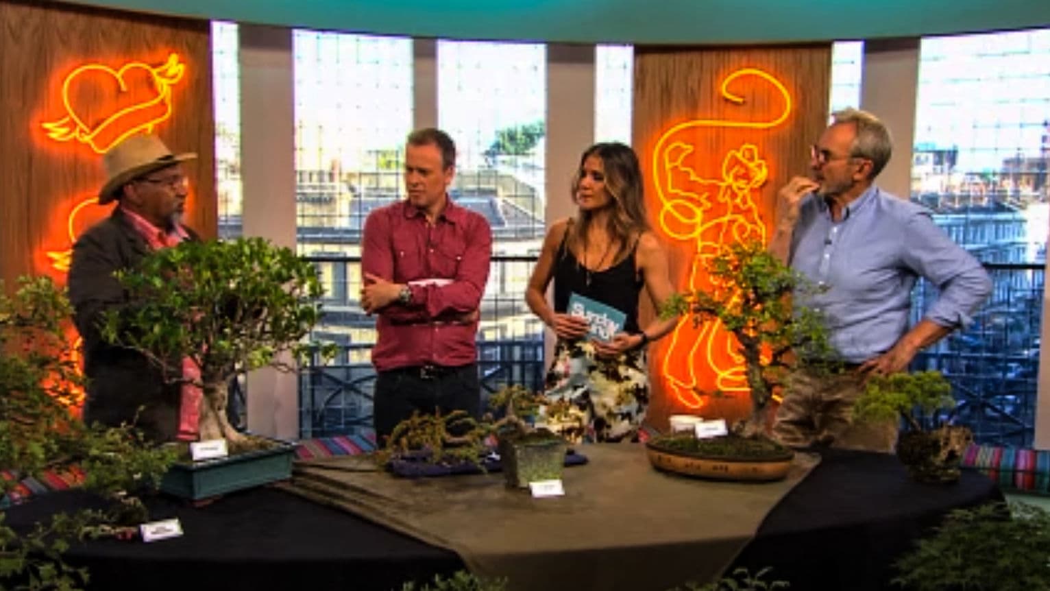 Poster image for Mark D'Cruz bonsai television appearance