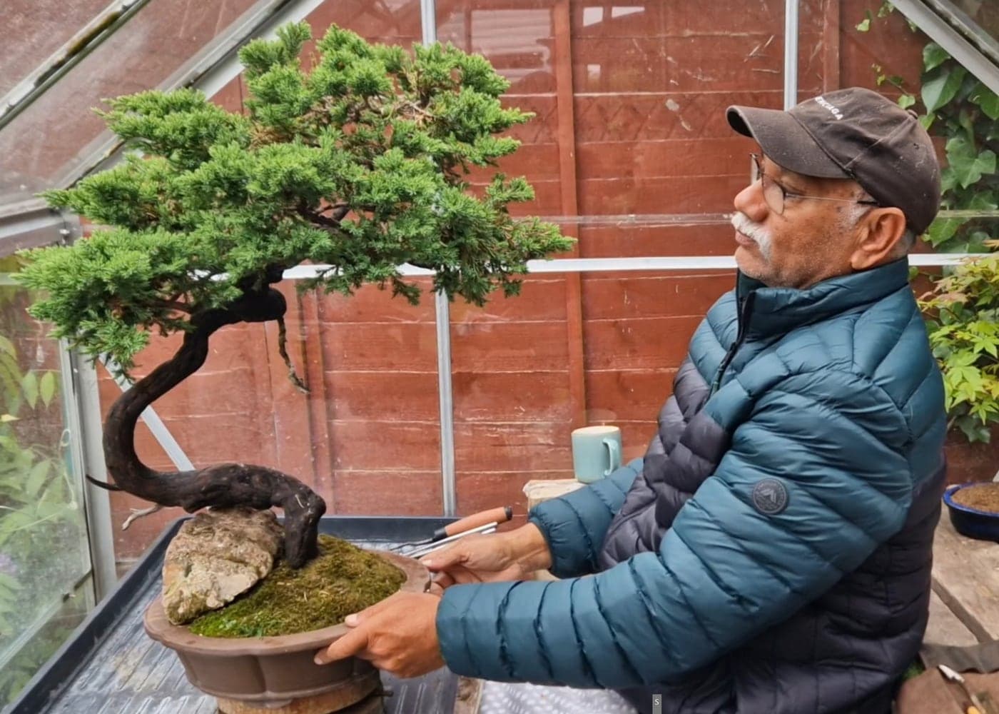 Mark D'Cruz with a Chamaecyparis pisifera Boulevard bonsai